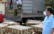 Bắt giữ 3,7 tấn mèo sống nhập lậu từ Trung Quốc