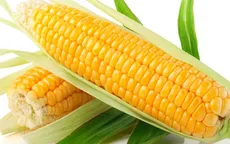 5 thực phẩm tốt cho sức khỏe 