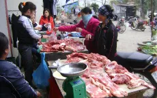 Giá thịt lợn giảm mạnh