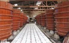 Trung Quốc hút nguồn hàng cá cơm