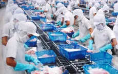 Đồng Yen rớt giá, xuất khẩu thủy sản sang Nhật gặp khó