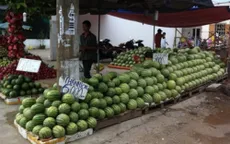 Giá dưa hấu rẻ chưa từng có