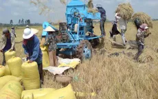 Giá gạo xuất khẩu Việt Nam thấp kỷ lục