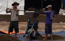 Kinh hoàng "công nghệ" biến bã trà thành... trà "tươi" 