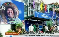 Nguy cơ “vỡ trận” xăng sinh học