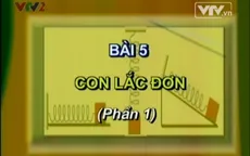 BTKT môn Vật Lý: Con lắc đơn
