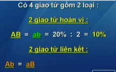 BTKT môn Sinh học: Bài tập về hoán vị gen
