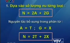 BTKT môn Sinh học: Bài tập về cấu trúc ADN