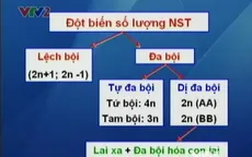 BTKT: Bài tập về đột biến số lượng nhiễm sắc thể