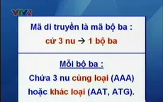 BTKT môn Sinh học: Bài tập về mã di truyền