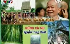 BTKT môn Văn: Tìm hiểu truyện ngắn Rừng xà nu