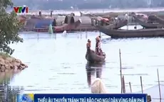 Thừa Thiên-Huế thiếu trầm trọng nơi neo tàu tránh trú bão