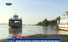 Đảm bảo an toàn các chuyến phà trên sông Hậu mùa lũ