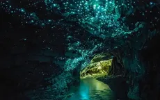 Lung linh động đom đóm Waitomo