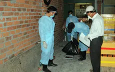 Ninh Thuận công bố dịch cúm H5N1 trên chim yến