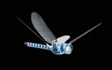Robot chuồn chuồn cử động linh hoạt như thật