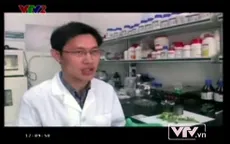 Vật liệu siêu nhẹ quý hơn vàng