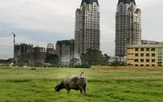 Khó khăn chuyển đổi nghề trong quá trình đô thị hóa