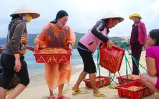Thực hiện bình đẳng giới: Cần tạo thêm cơ hội cho phụ nữ