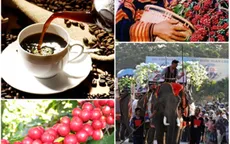 Rộn ràng Lễ hội cà phê tại Buôn Ma Thuột 