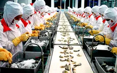 Mỹ công nhận tôm Việt Nam không bán phá giá
