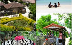 Chiêm ngưỡng vẻ đẹp trên đảo Taketomi, Nhật Bản