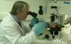 Thử nghiệm vaccine chống HIV