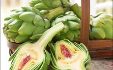 Các loại thảo dược trị bệnh gan, mật
