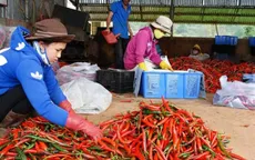 Giá ớt xuất khẩu giảm mạnh