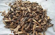 Điều trị chứng ngứa da mùa lạnh