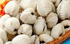 Sò huyết bổ ngũ tạng, trị viêm loét dạ dày tá tràng