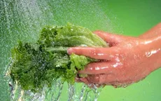 Tránh nhiễm khuẩn từ nhà bếp