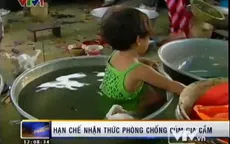 Cúm gia cầm phức tạp, người dân vẫn thờ ơ