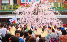 21/4: Ngày cuối cùng của Lễ hội Xuân Việt Nam - Nhật Bản