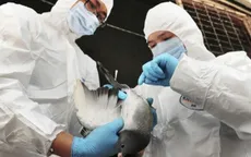 Trung Quốc: 18 người đã tử vong do cúm A/H7N9