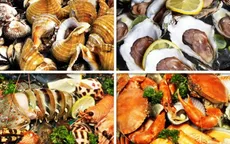 Hải sản: Phương thuốc tự nhiên tăng cường sức khỏe