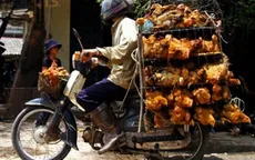 Quảng Ninh quyết liệt phòng chống dịch cúm gia cầm