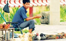 Vận chuyển gia cầm trái phép vẫn lén lút hoạt động