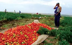 Nông trang Việt bên bờ sông Volga