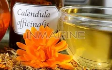 Một tách trà, đa lợi ích