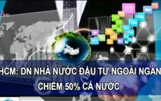 TP.HCM: DNNN đầu tư ngoài ngành chiếm 50% cả nước