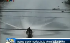 VIDEO: Thâm nhập đường dây thuốc lá lậu vào TP.HCM