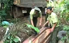 Quảng Trị: Phát hiện vụ khai thác gỗ lậu lớn