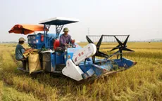 Hỗ trợ 100% lãi suất khi sản xuất nông nghiệp ứng dụng công nghệ cao 