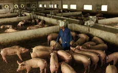 Người chăn nuôi chờ được giãn nợ