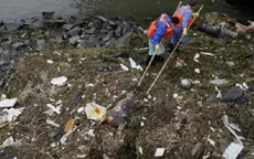 "Lợn chết ở Thượng Hải không nhiễm cúm gia cầm"