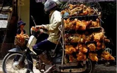 Bộ Y tế kiểm tra công tác phòng cúm A/H7N9 tại Bắc Giang