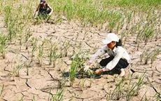 Biến đổi khí hậu đã không còn là chuyện xa xôi...