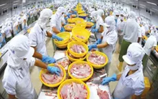 Tổ chức lại xuất khẩu cá tra vào thị trường Mỹ