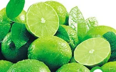 Dân hoang mang vì nông sản Trung Quốc nhiễm bệnh
